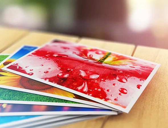 Custom Postcard Printing Services in Cibolo, TX